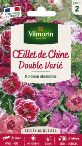 Œillet de Chine Double Vilmorin Varié